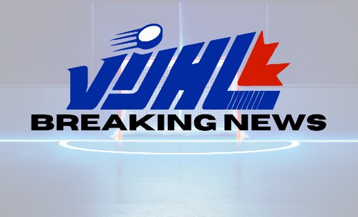 VIJHL LOGO